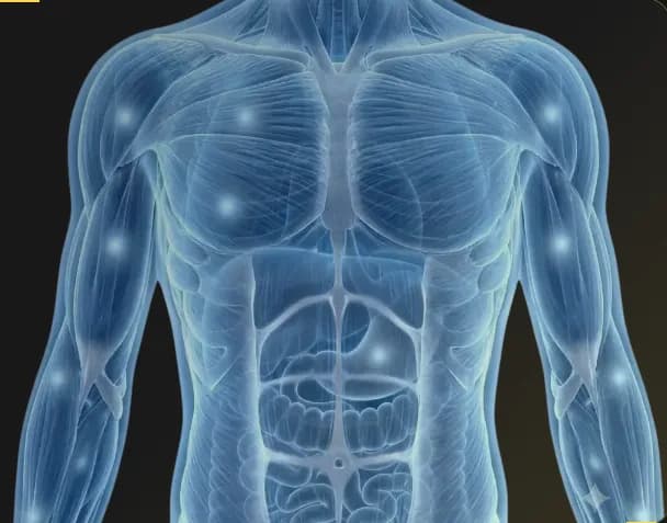 Soft Tissue Tumor Surgery